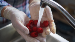 Boas práticas de higiene alimentar