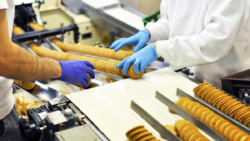 Segurança dos alimentos